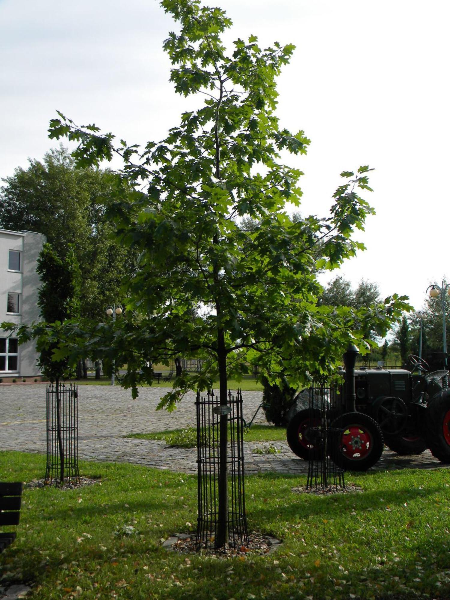 Hotel Kosmonauty Wroclaw-airport Wroclaw
